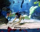 富国海底世界