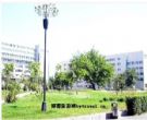 新疆大学