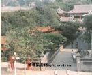 桃花堤公园