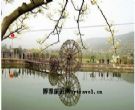 狮岭旅游景区