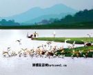鶫ˮֱ羰