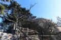 镇江五峰山