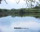 加乐湖村
