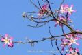 民丰湖休闲娱乐区