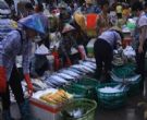 渔港街水产码头