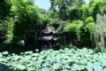 青岛嘉定山公园