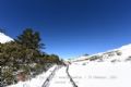 白马雪山垭口