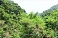 东平故城