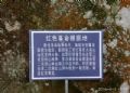 普宁藏莲寺