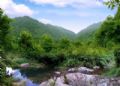 播扬扶荫地
