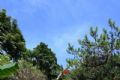 竹山里遗址