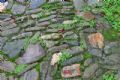 锦赛茶银古道