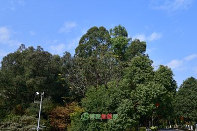 三皇山