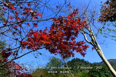 木梓山遗址