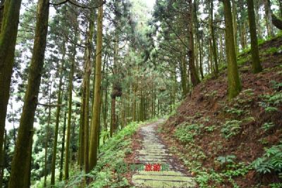 温州畲乡古道