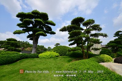 东方左岸景区