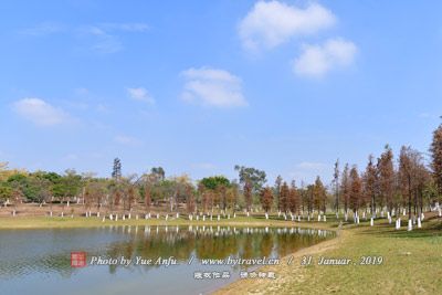 荆河公园