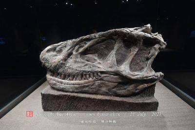 开远腊玛古猿化石产地