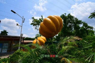 现代农业基地