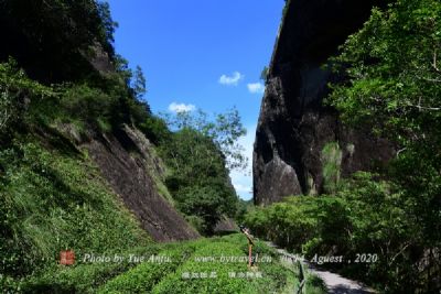 地下森林