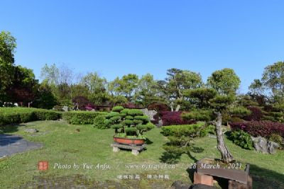 黄果树盆景园