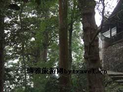 南泉山古寺
