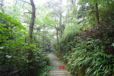 锦盖山风景区