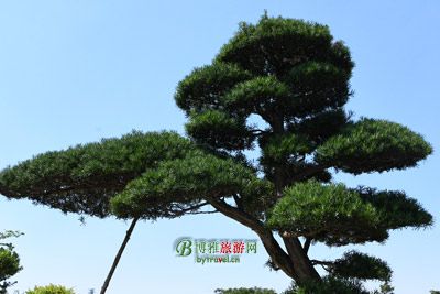 东方明珠空中旋转餐厅