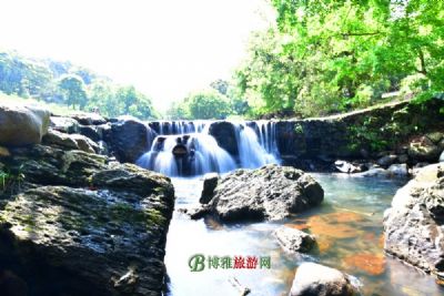 云雾山森林公园