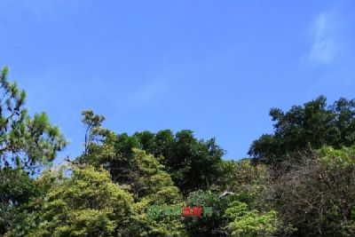 宣化凤凰山风景区