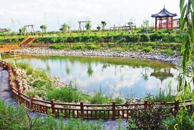 美丽乡村-王上村