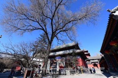良塘盘古大庙