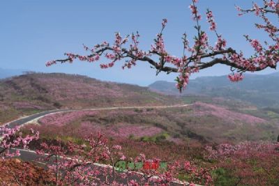 梅湾湖