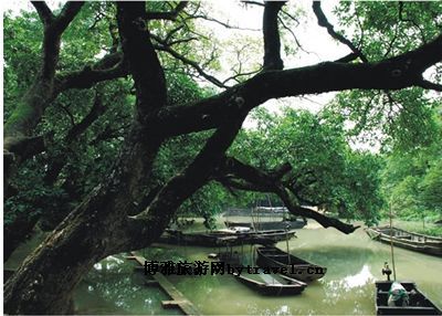鹅桂洲岛