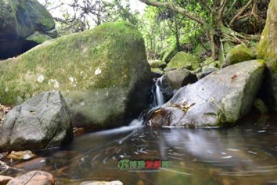 三台沟原始森林景区