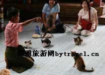 跳猫寺