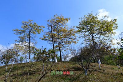 灌江小山峡