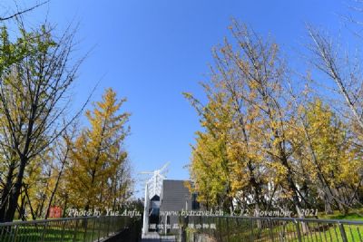 沈阳体育公园