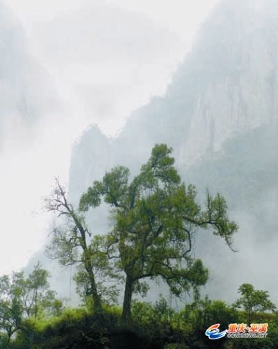 ųǾ