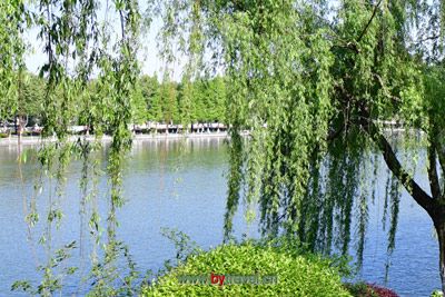 后水湖