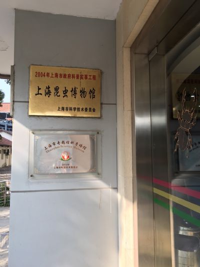 Ϻ沩