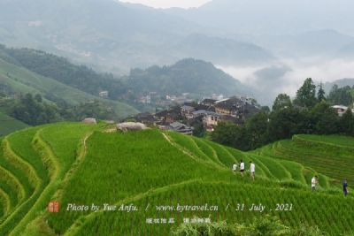 龙树坝梯田