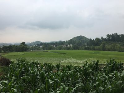 ˮŴ徰