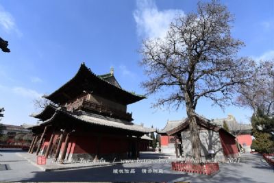 ǽ鸣