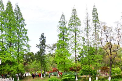 新兴龙山摩崖石刻