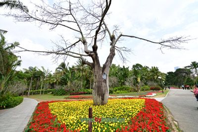 国民革命军六十二军七十五师上岩、岩下军事仓库旧址