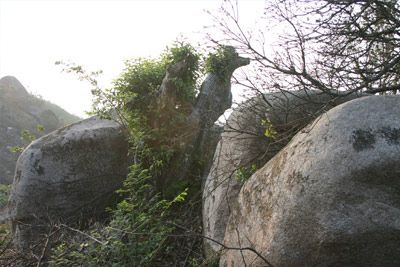 蟹龙岗